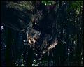 PDVD_4681