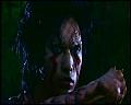 PDVD_4685