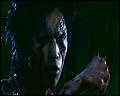 PDVD_4692