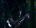 PDVD_4698