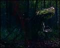 PDVD_4701