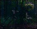 PDVD_4702