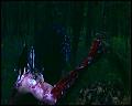 PDVD_4704