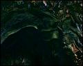 PDVD_4705