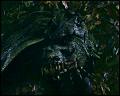 PDVD_4706
