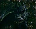 PDVD_4708