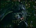 PDVD_4710