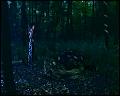PDVD_4714