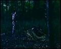 PDVD_4715