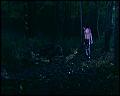 PDVD_4719