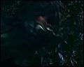PDVD_4720