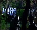PDVD_5153