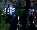 PDVD_5154