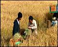 PDVD_5257