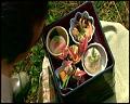 PDVD_5259