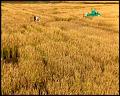 PDVD_5263