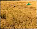 PDVD_5264