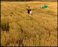 PDVD_5266