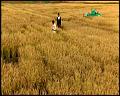 PDVD_5267