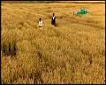 PDVD_5268