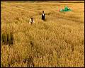 PDVD_5269