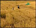 PDVD_5270