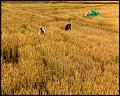 PDVD_5271