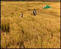 PDVD_5272