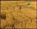 PDVD_5273
