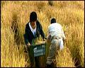PDVD_5274