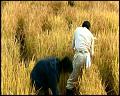 PDVD_5275