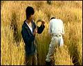 PDVD_5276