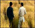 PDVD_5279