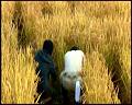 PDVD_5280