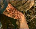 PDVD_5289