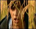 PDVD_5290
