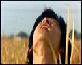 PDVD_5291