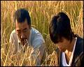 PDVD_5295