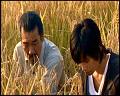 PDVD_5296
