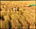 PDVD_5307