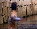 PDVD_5403