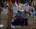 PDVD_5420
