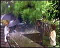 PDVD_5519