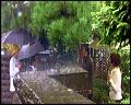 PDVD_5520