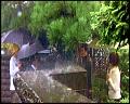 PDVD_5521
