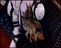 PDVD_5570