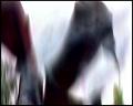 PDVD_5622