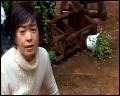 PDVD_5634