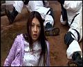 PDVD_5637
