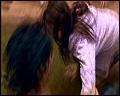 PDVD_5638